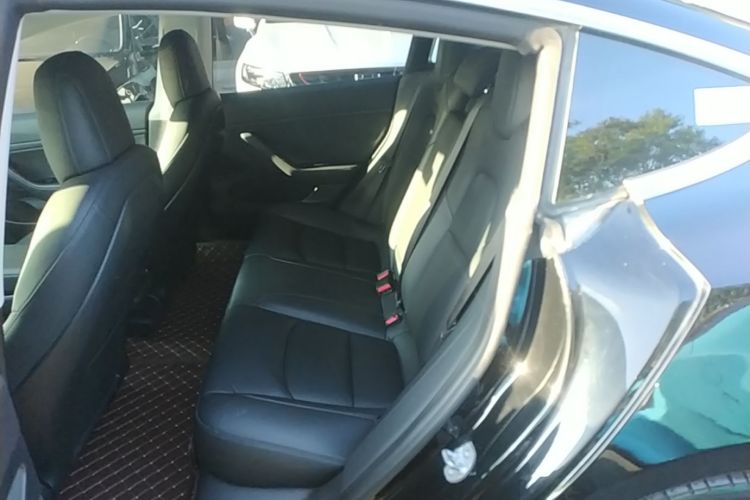 Tesla Model 3 2020 immagine di auto #17