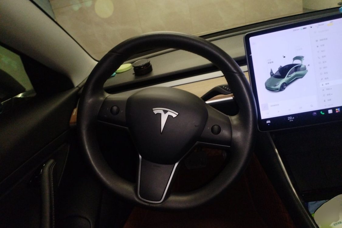 Tesla Model 3 2020 car image #22