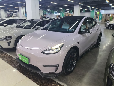 Tesla Model Y 2022 car image 