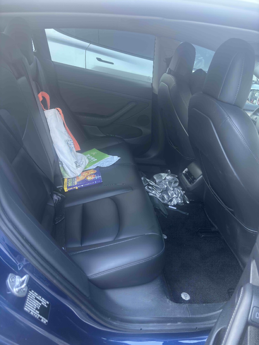 Tesla Model 3 2022 car image #4