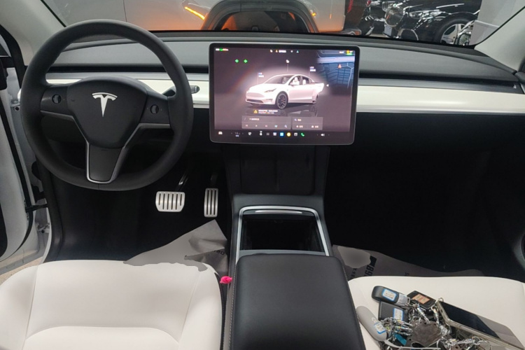 Tesla Model Y 2021 car image #11
