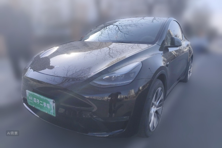 Tesla Model Y 2021 #2 Tesla Model Y 2021 car image #2