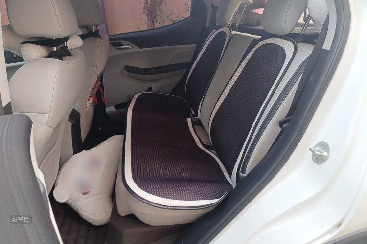BYD Yuan Pro 2022 car image #19