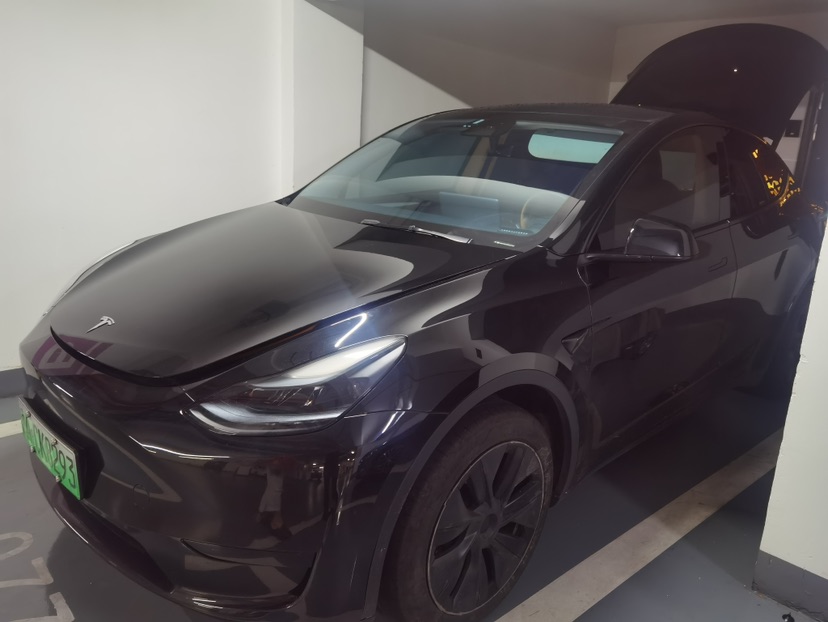 Tesla Model Y 2023 car image 