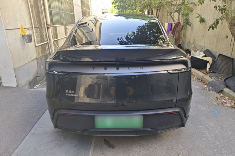 Tesla Model Y 2025 car image #6