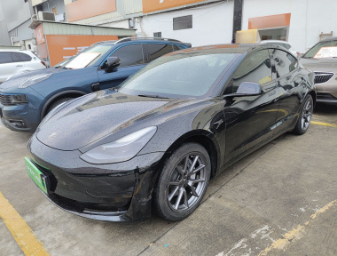 Tesla Model 3 2021 Tesla Model 3 2021 car image