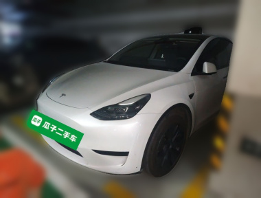 Tesla Model Y 2024 Tesla Model Y 2024 car image