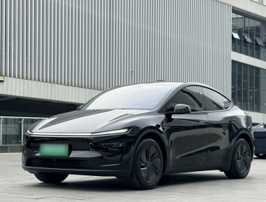 Tesla Model Y 2025 Tesla Model Y 2025 car image