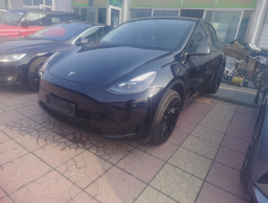 Tesla Model Y 2023 car image 