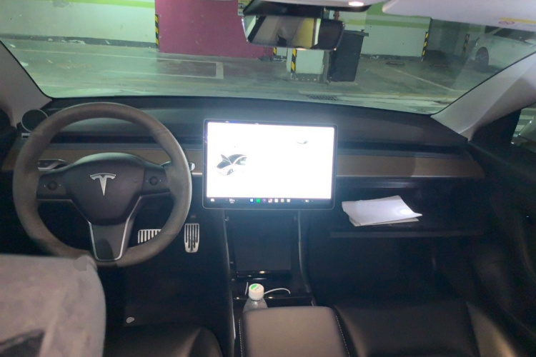 Tesla Model 3 2020 imagem de carro #7