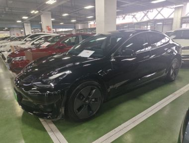 Tesla Model 3 2023 car image 