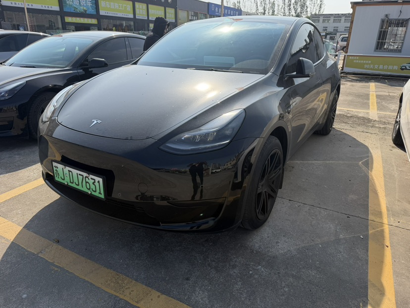 Tesla Model Y 2024 Tesla Model Y 2024 car image