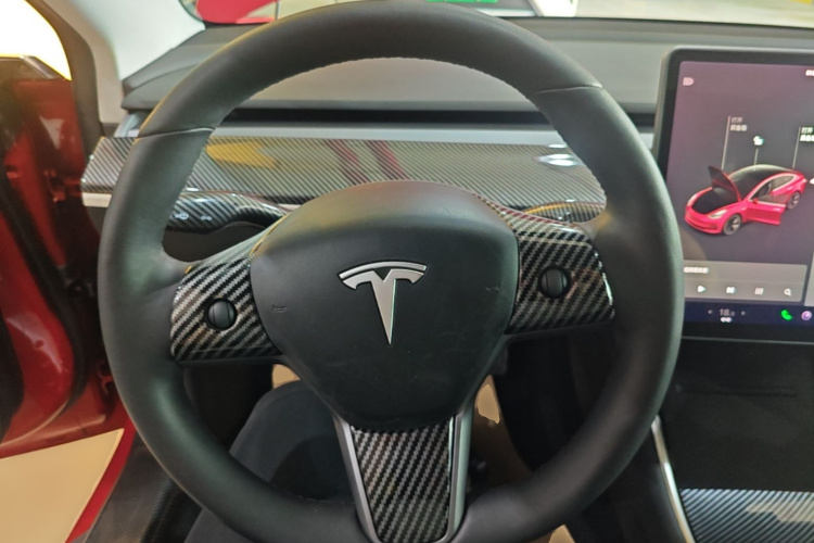 Tesla Model 3 2020 immagine di auto #11