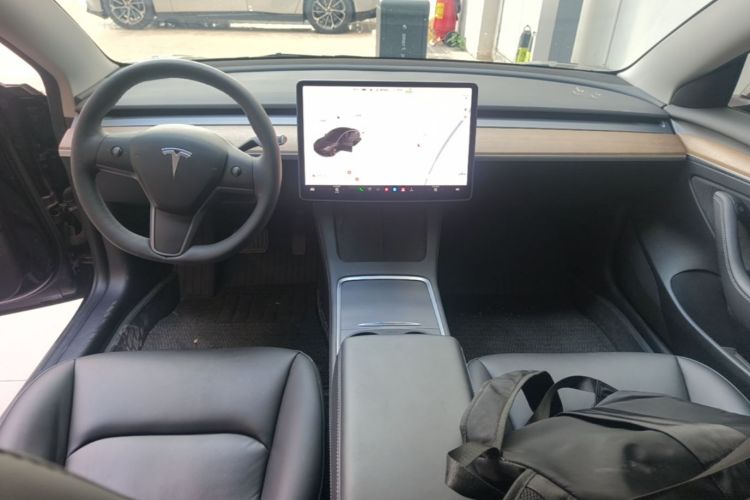 Tesla Model 3 2021 car image #11