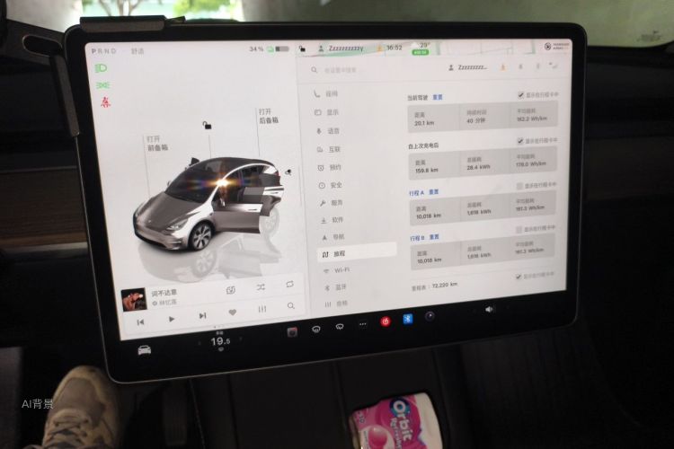 Tesla Model Y 2022 car image #13