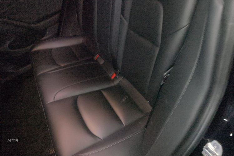 Tesla Model 3 2023 car image #19