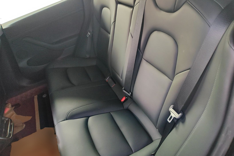 Tesla Model 3 2021 car image #17