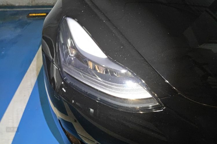 Tesla Model 3 2021 #8 Tesla Model 3 2021 car image #8