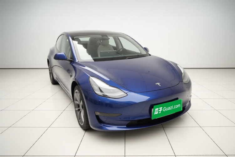 Tesla Model 3 2021 #4 Tesla Model 3 2021 car image #4