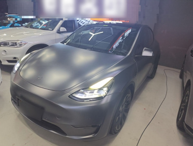 Tesla Model Y 2021 car image 