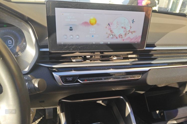 GEELY Emgrand 2021 immagine di auto #15