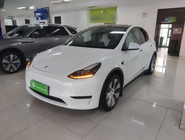 Tesla Model Y 2023 Tesla Model Y 2023 car image