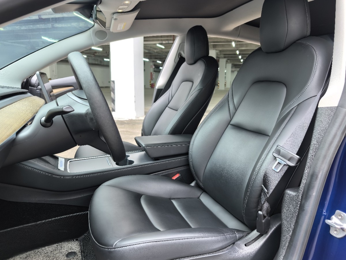 Tesla Model 3 2021 car image #5