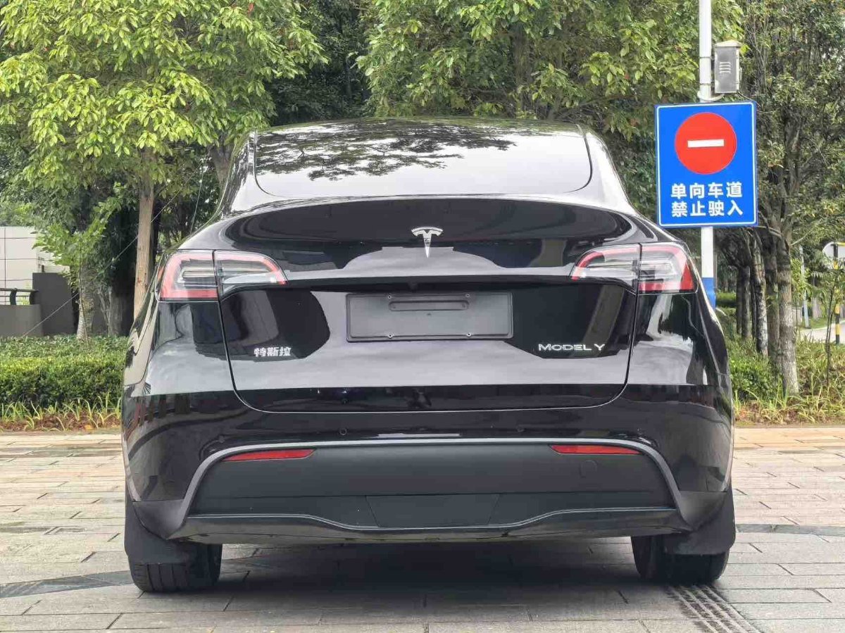 Tesla Model Y 2021 #7 Tesla Model Y 2021 car image #7