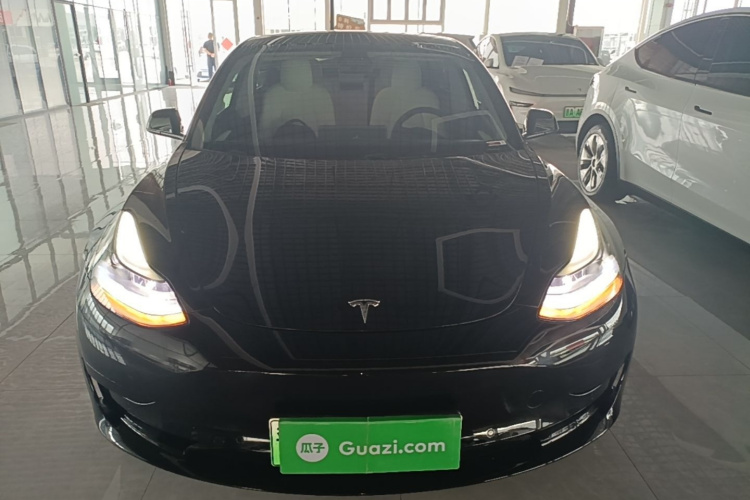 Tesla Model 3 2021 #3 Tesla Model 3 2021 car image #3