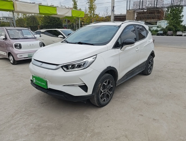 BYD Yuan Pro 2022 car image 