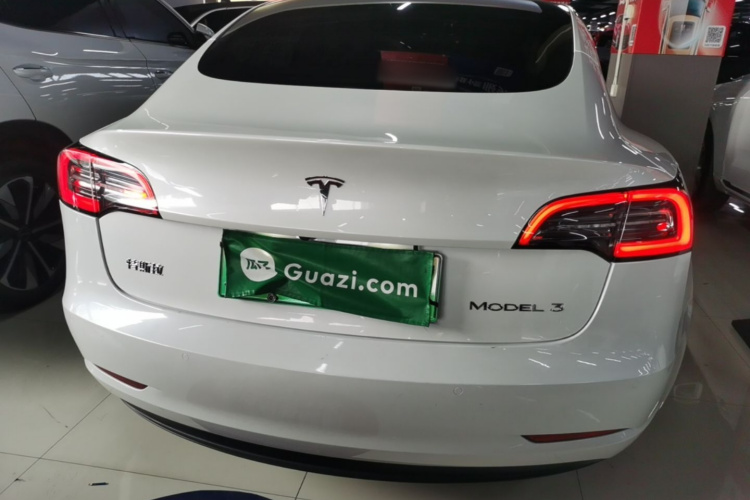 Tesla Model 3 2020 immagine di auto #6