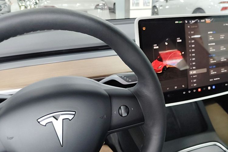 Tesla Model 3 2023 car image #14