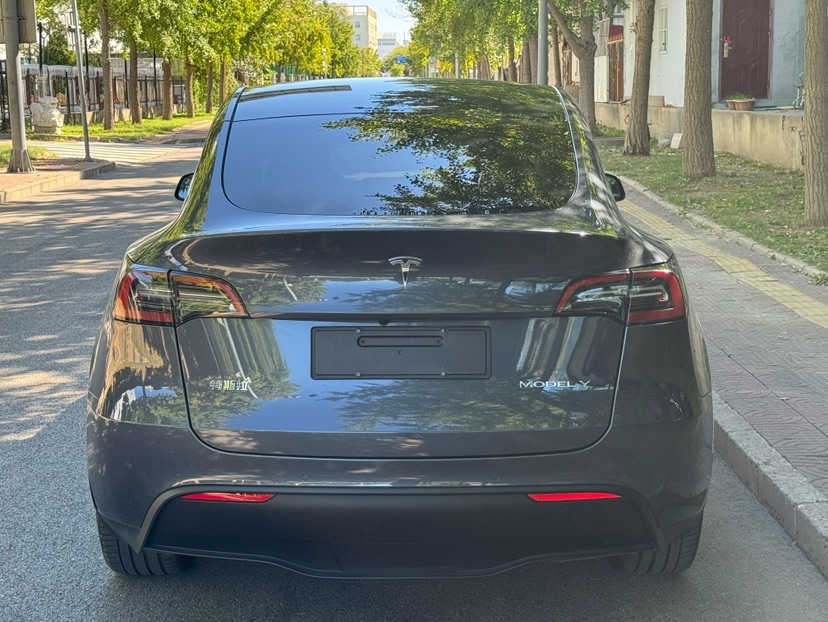 Tesla Model Y 2023 #9 Tesla Model Y 2023 car image #9