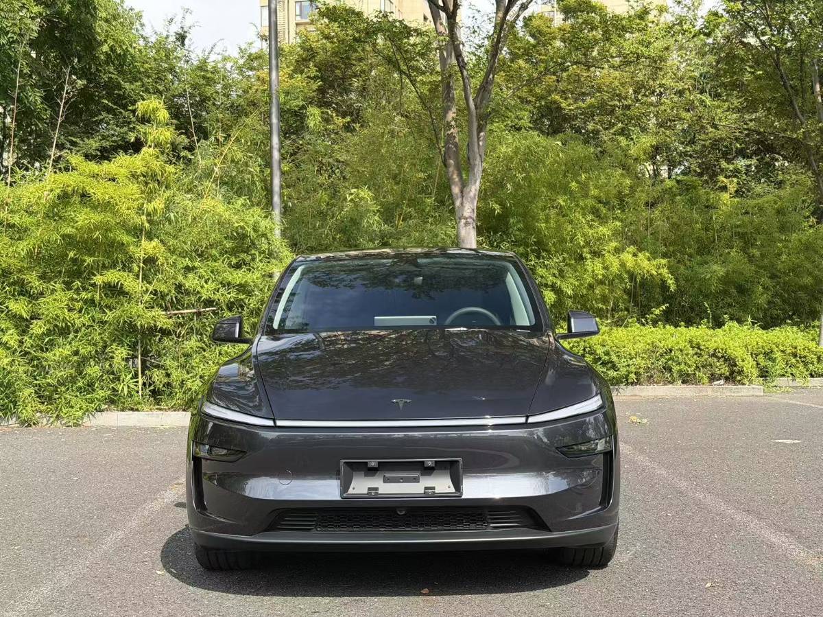 Tesla Model Y 2025 Tesla Model Y 2025 car image