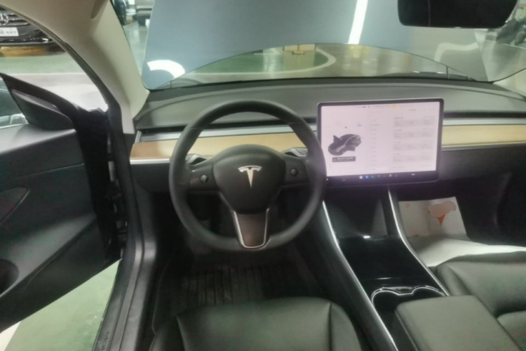 Tesla Model 3 2020 #11 Tesla Model 3 2020 car image #11