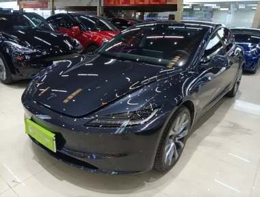 Tesla Model 3 2024 Tesla Model 3 2024 car image