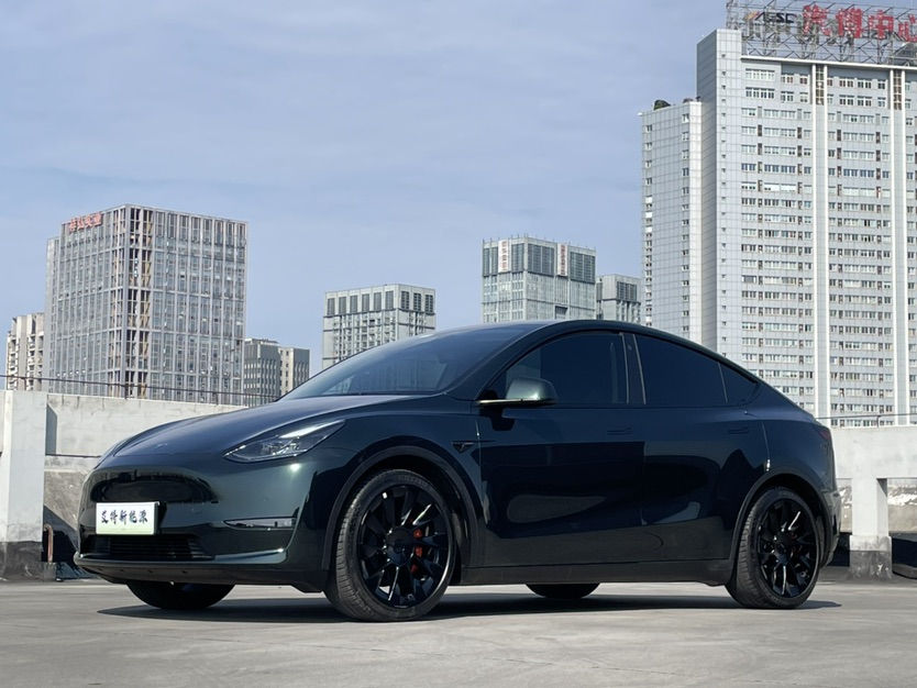 Tesla Model Y 2021 car image 