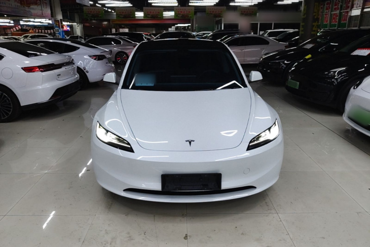 Tesla Model 3 2024 #3 Tesla Model 3 2024 car image #3