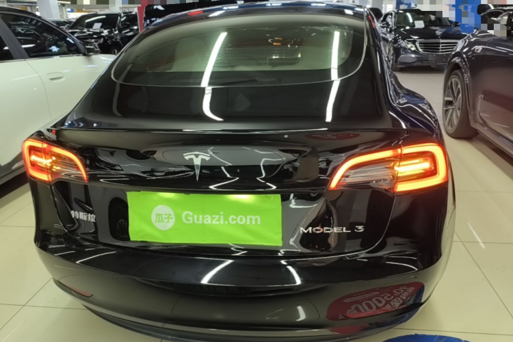 Tesla Model 3 2023 #6 Tesla Model 3 2023 car image #6