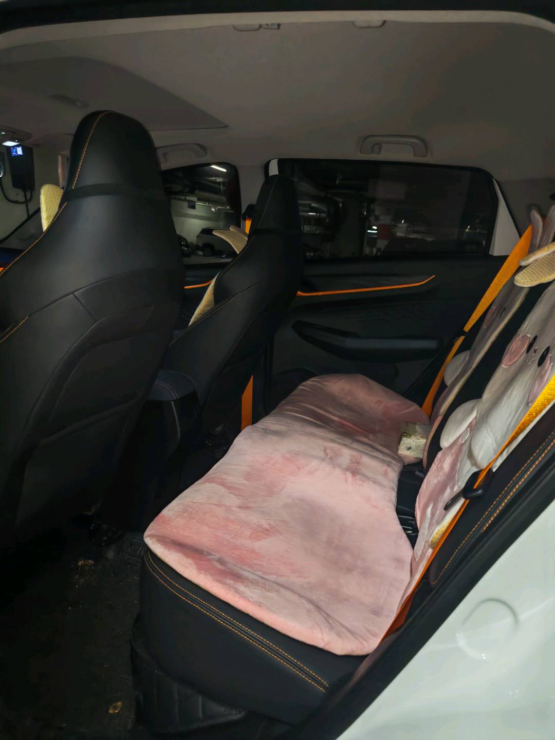 睿蓝汽车 睿蓝汽车X3 PRO 2023 汽车图片 #5