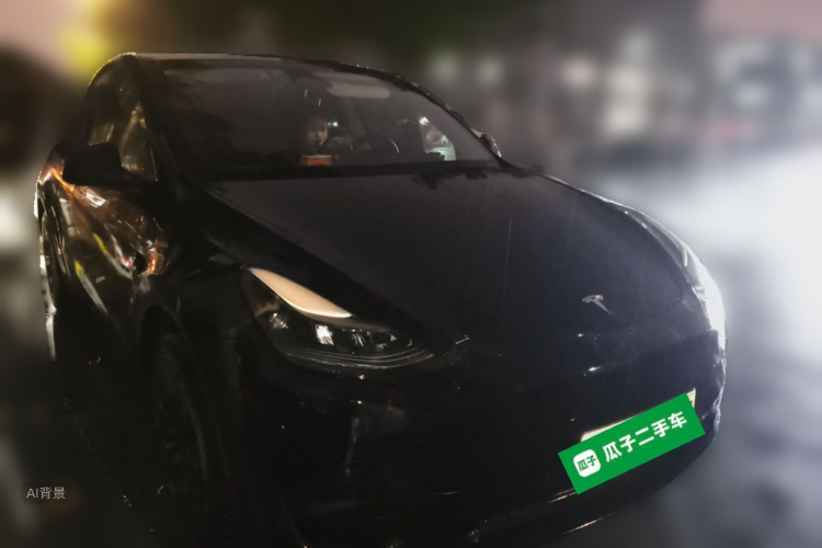 Tesla Model Y 2024 immagine di auto #4