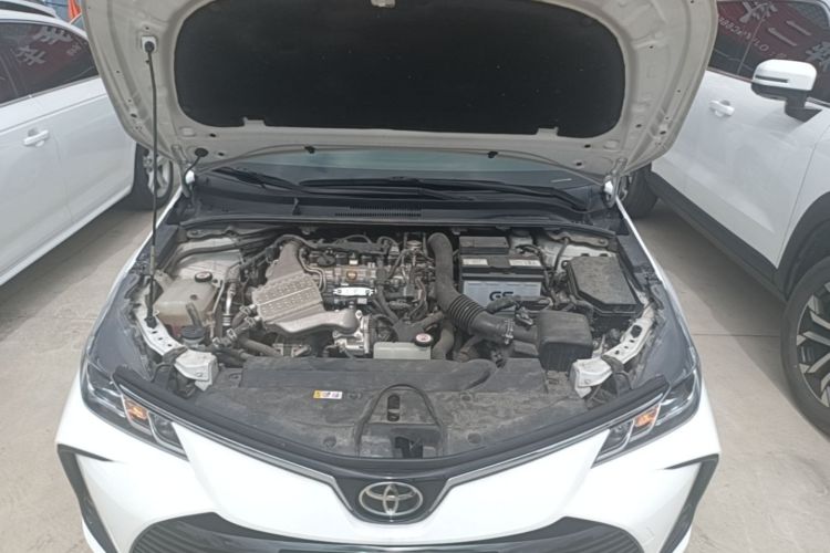 Toyota Corolla 2022 #20 Toyota Corolla 2022 car image #20