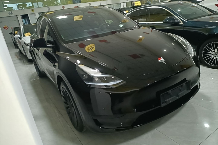 Tesla Model Y 2023 car image #6