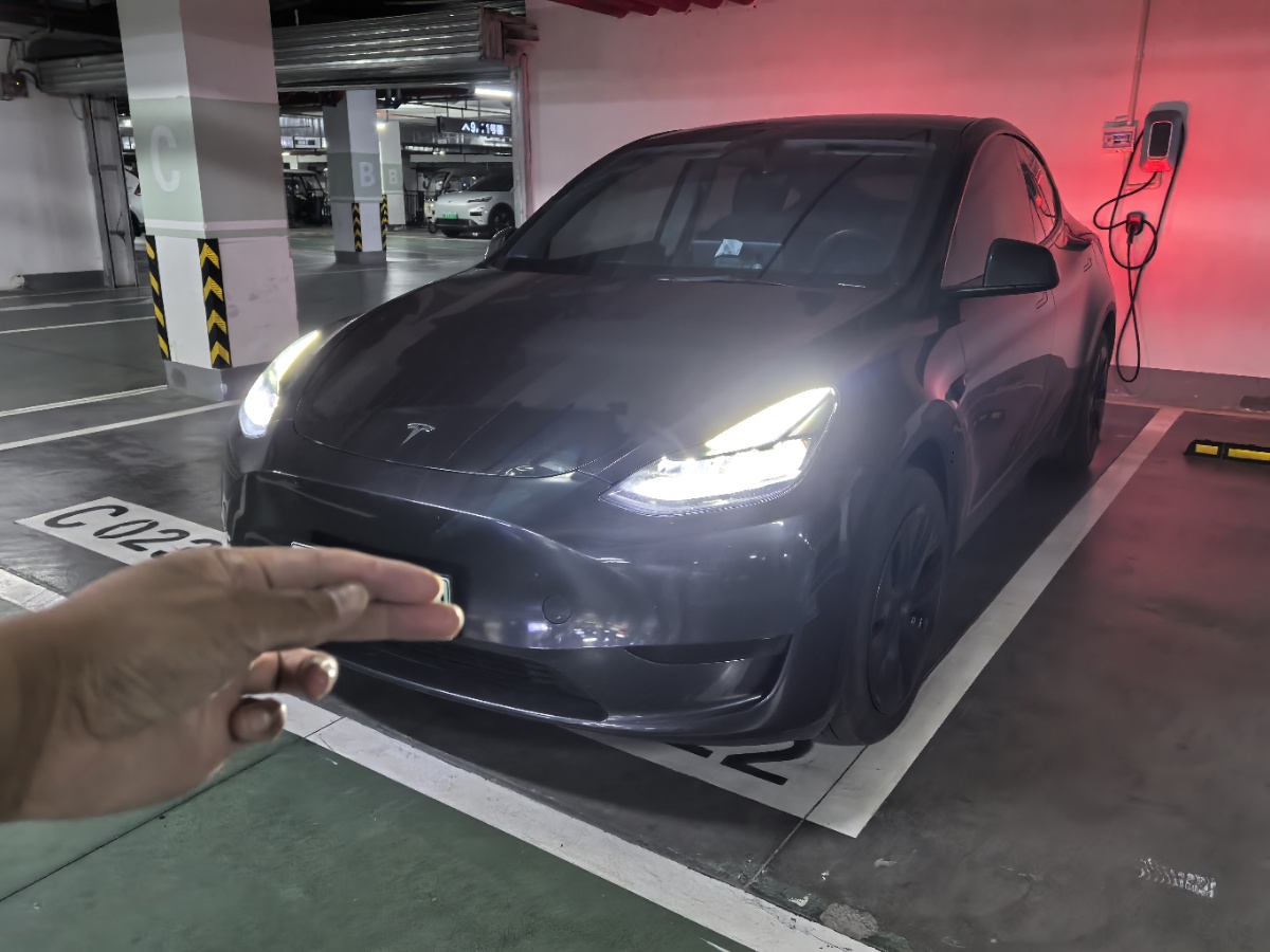 Tesla Model Y 2024 Tesla Model Y 2024 car image