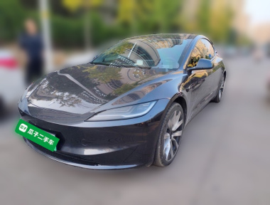 Tesla Model 3 2024 car image 