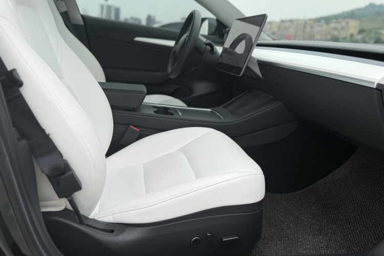 Tesla Model 3 2021 car image #16