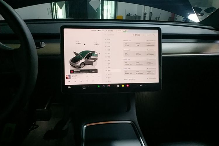 Tesla Model Y 2022 car image #13