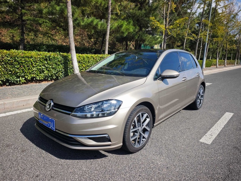 Volkswagen Golf 2020 imagen de coche 
