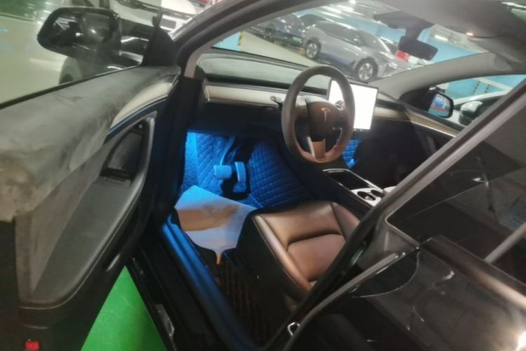 Tesla Model Y 2021 car image #16