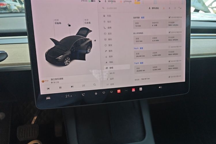 Tesla Model Y 2021 car image #13